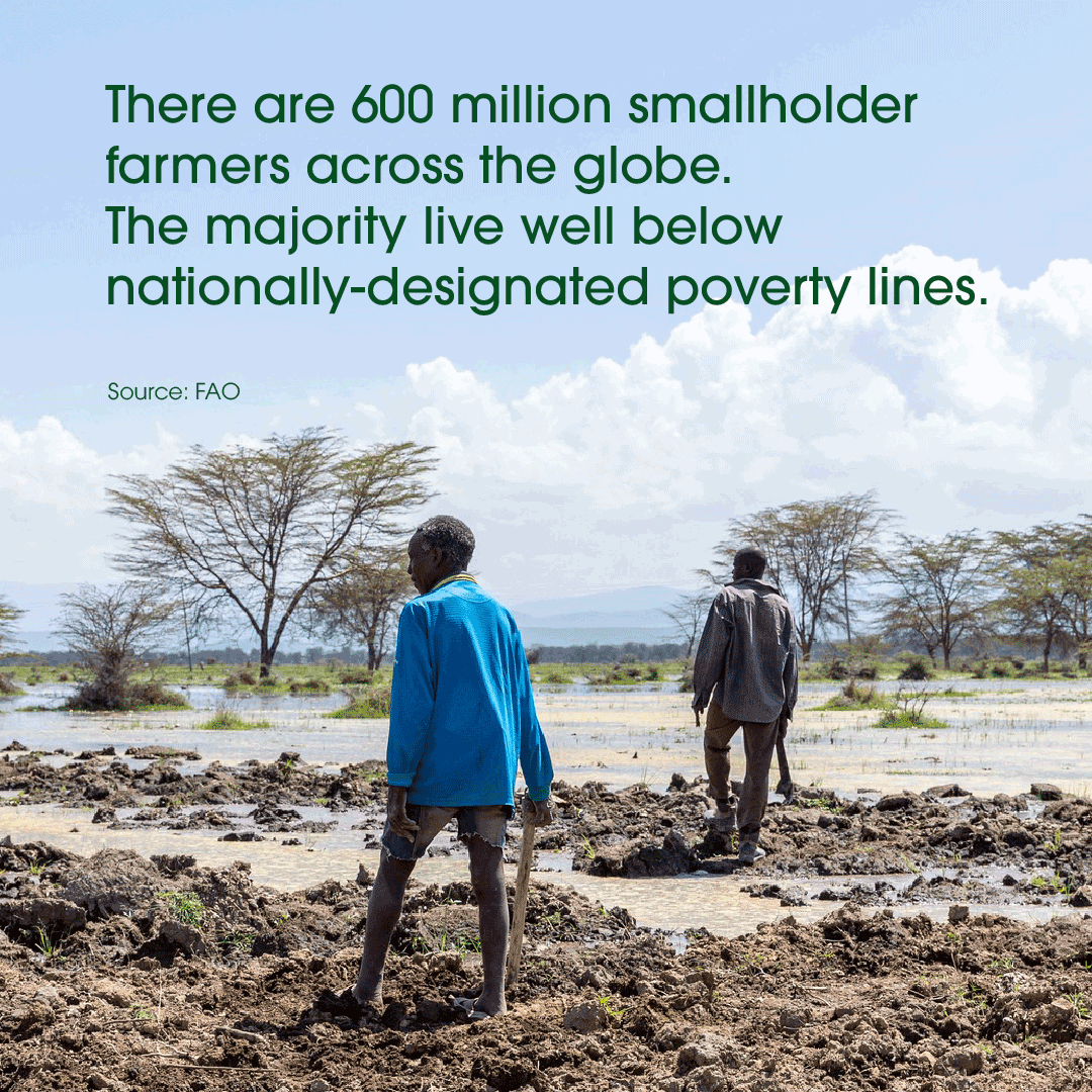 There are 600 million smallholder farmers across the globe. The majority live well below nationally-designated poverty lines.