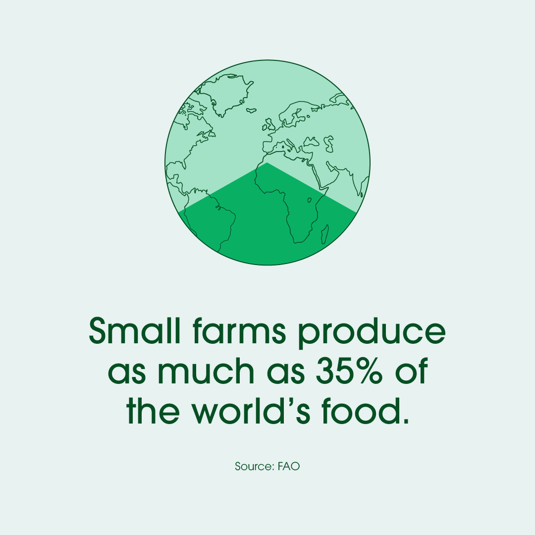 Small farms produce as much as 35% of the world's food.