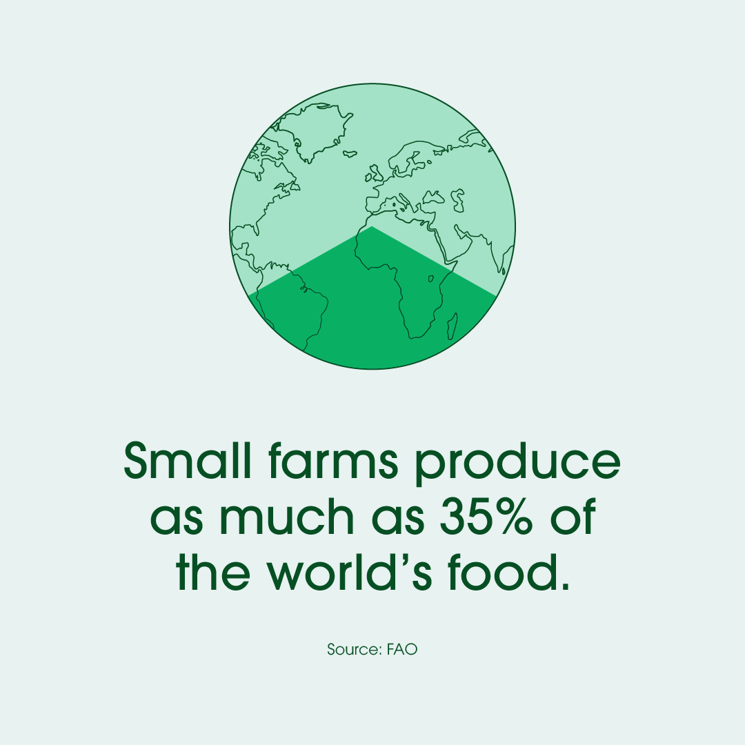 Small farms produce as much as 35% of the world's food. Small farms produce as much as 35% of the world's food.