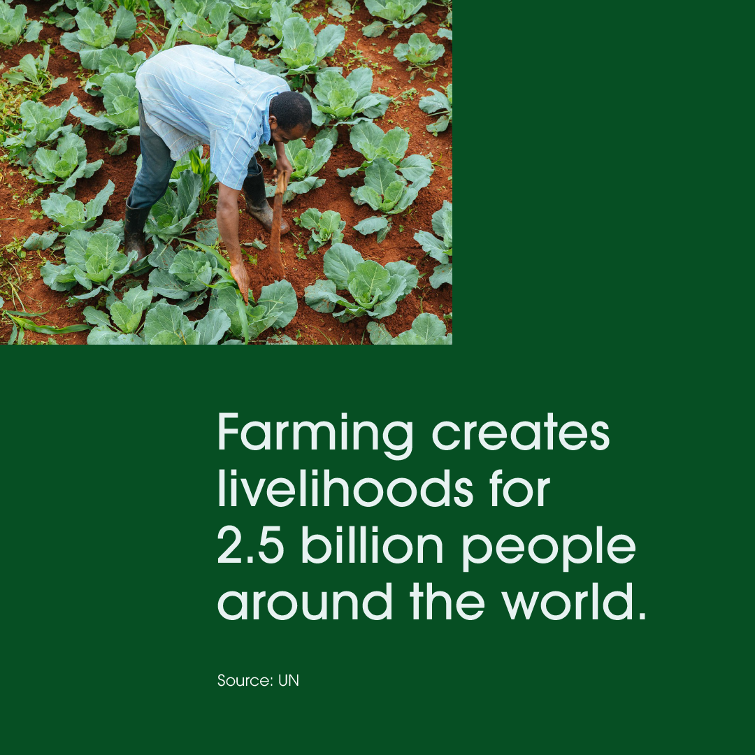 Farming creates livelihoods for 2.5 billion people around the world. Farming creates livelihoods for 2.5 billion people around the world.