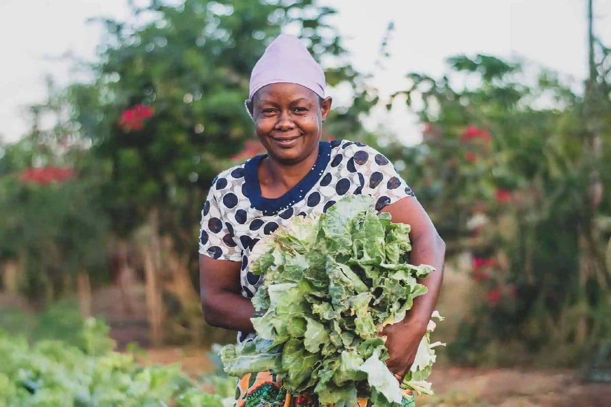 Woman hold bunch of vegetables