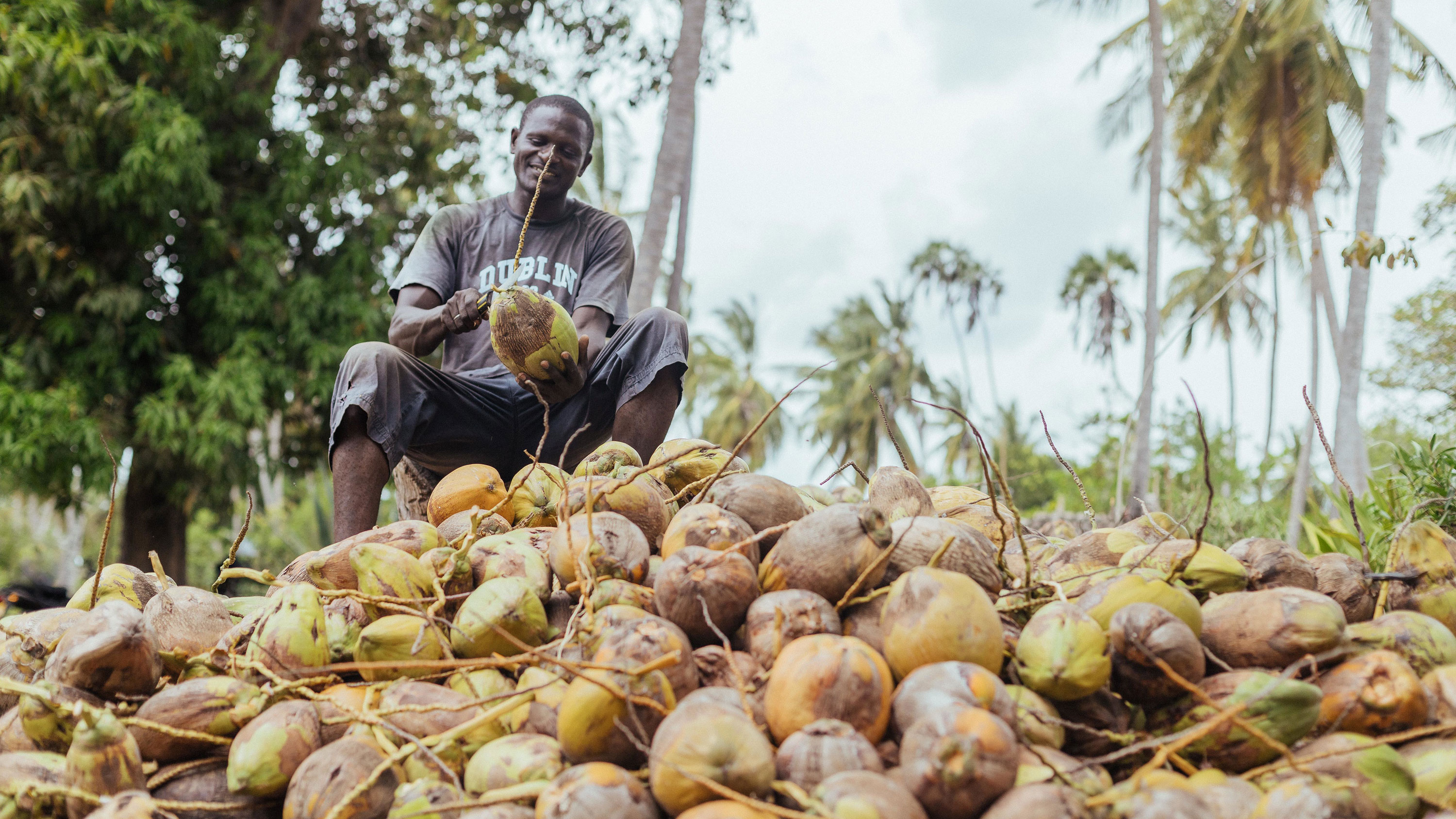 Man carving open cocnut whil siting on pile of coconuts