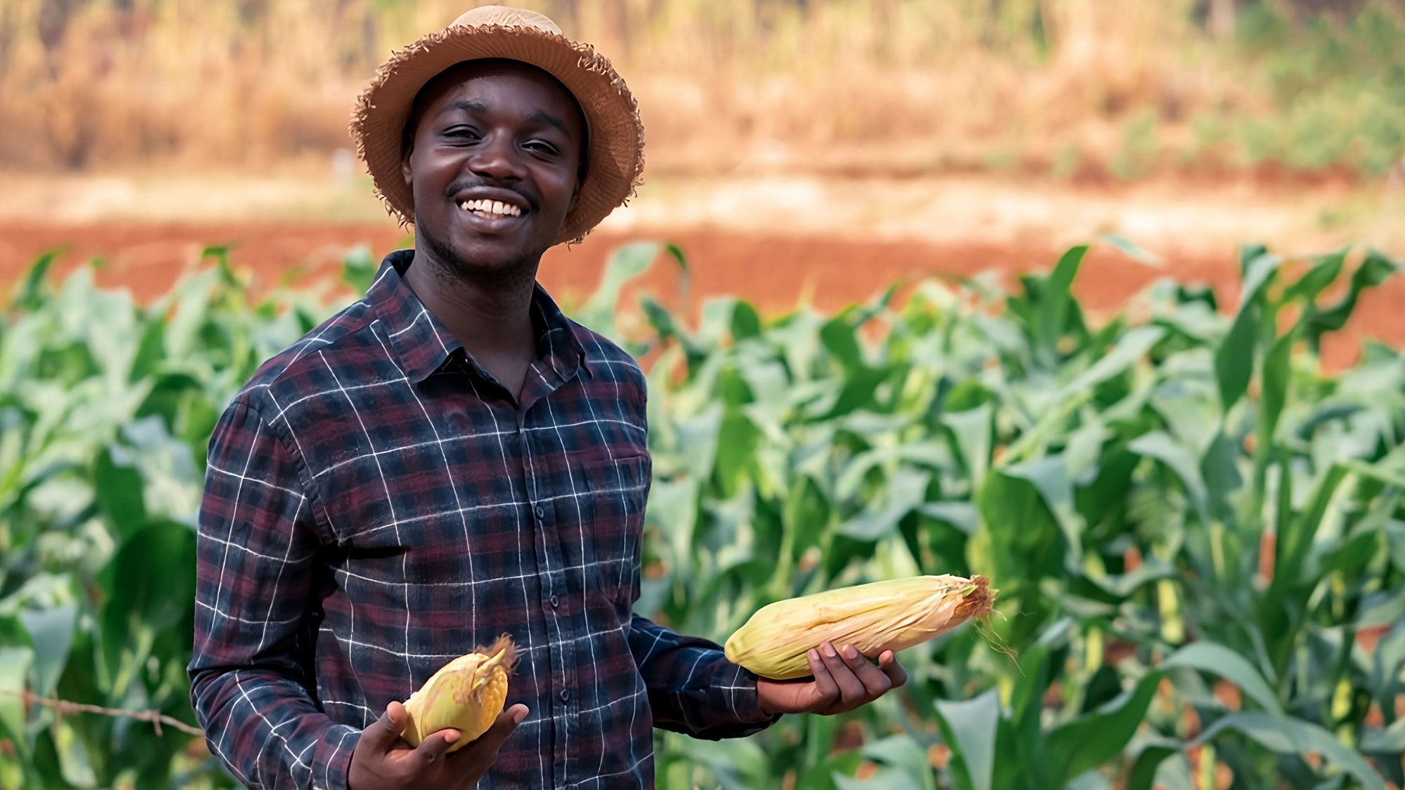 Farmer with maize