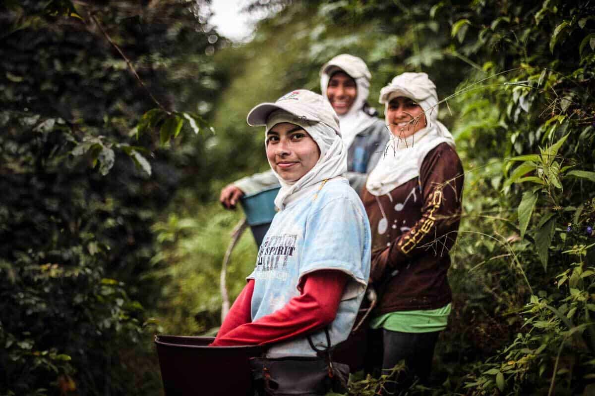 Photo Credit: Azahar Coffee, Colombia